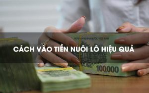 Cách vào tiền nuôi lô